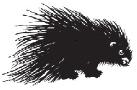 SpinaRechts